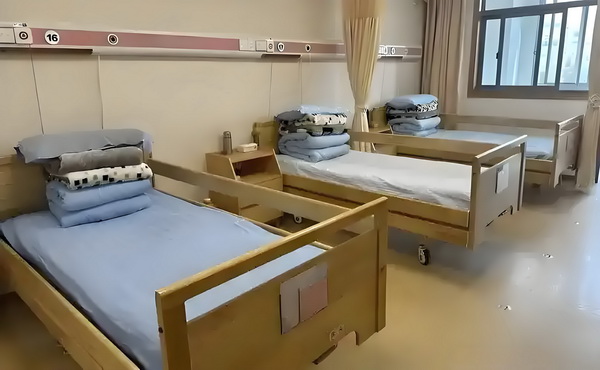 《邓南遮占领阜姆自由邦》——媒介力量下的历史复现
